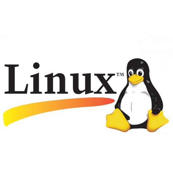 CompTIA LX0-101 & LX0-102: CompTIA Linux