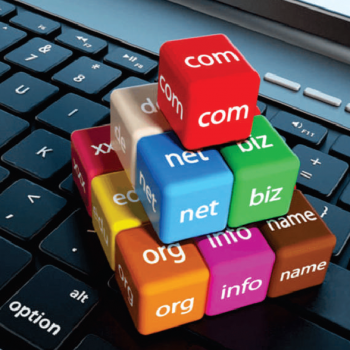 Domain Hosting & Registration