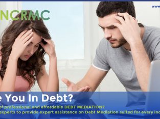 Debt Mediation